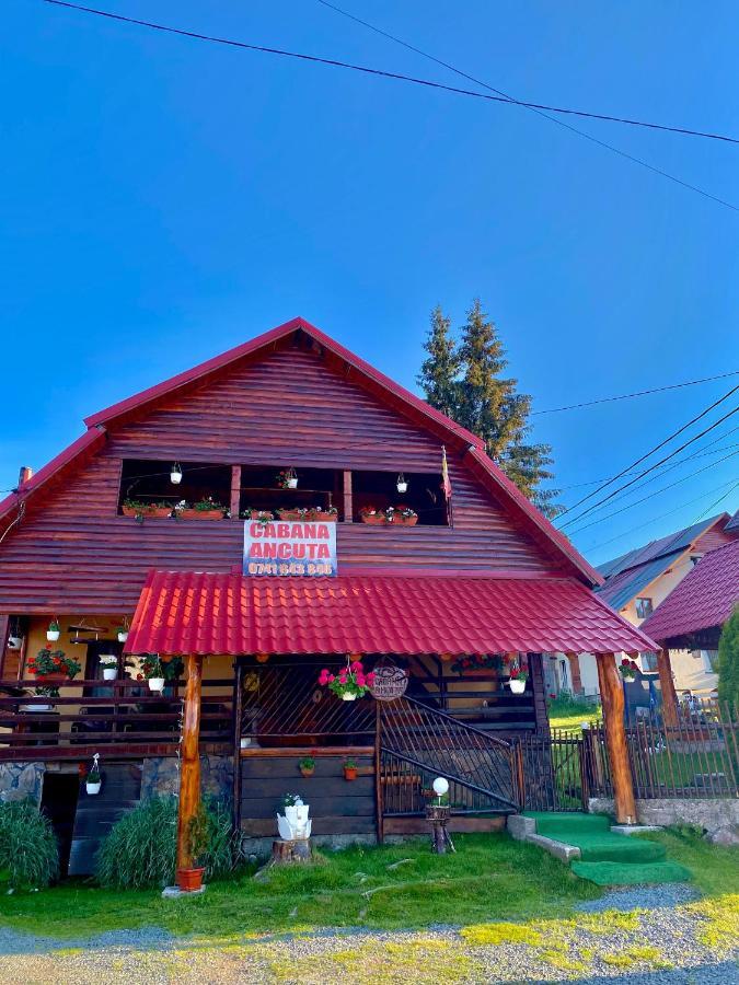 Hotel Cabana Ancuta Vârtop Esterno foto