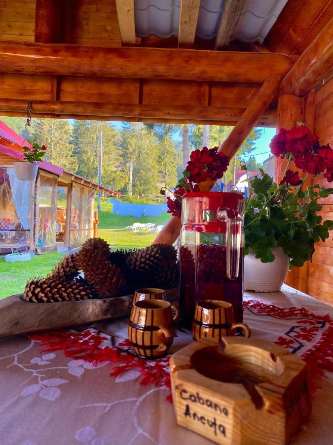 Hotel Cabana Ancuta Vârtop Esterno foto